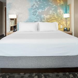 King Room Sofa Bed